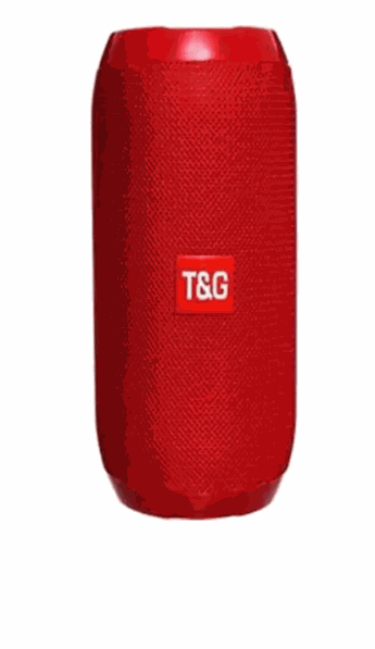 Parlante T&amp;G Portable Tg619c
