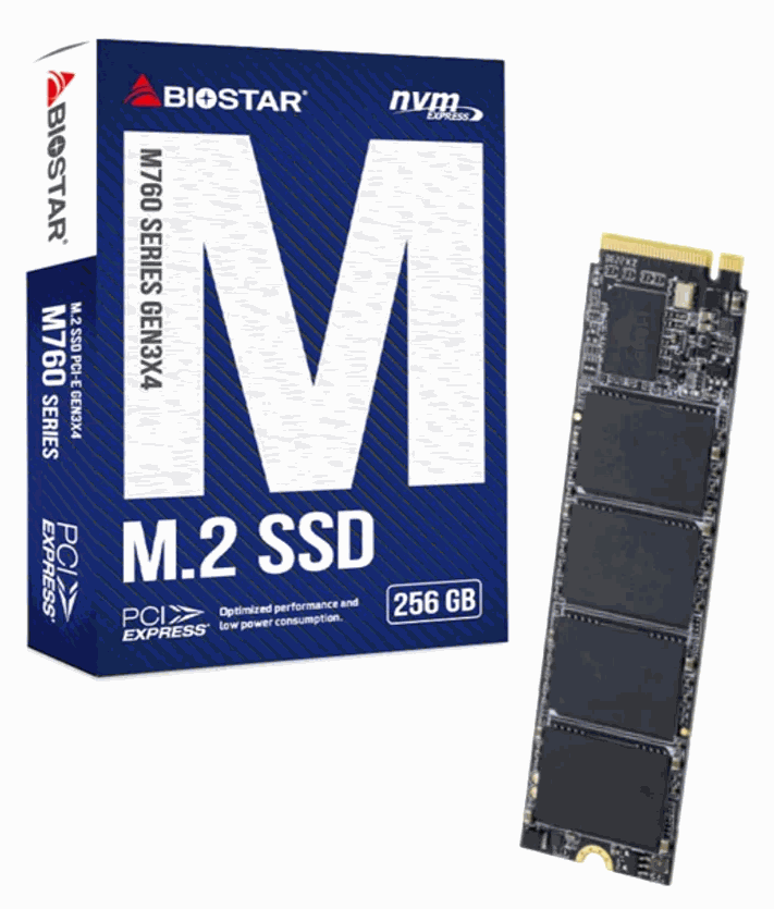 Biostar SSD m.2 256gb
