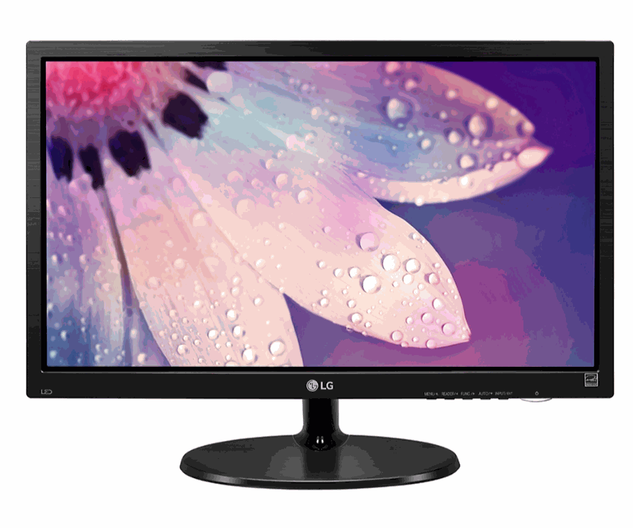 Monitor LED LG 19" FHD